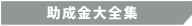 �������厫�T