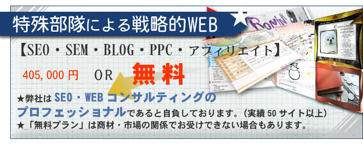 ���ꕔ���ɂ��헪�IWEB